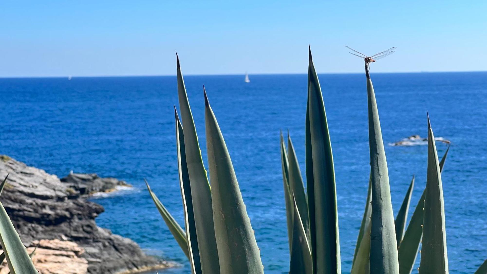 Turquesa Del Mar - Sun & Beach & Golf & Bike - Large Terrace Ground-Floor Spanish Apartment Dehesa de Campoamor  Luaran gambar
